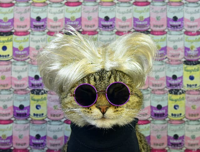Cat_Art_Show_2_Paul_Koudounaris_Warhol_Cat